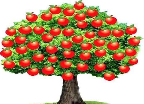 苹果：零成长的“摇钱树”，值30倍PE吗？