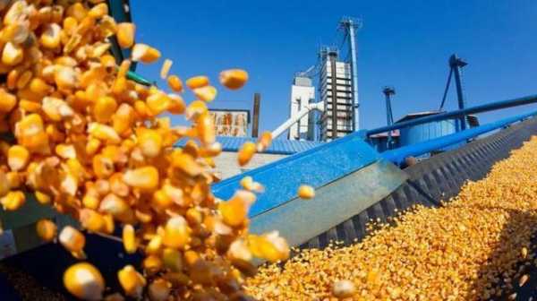 厄尔尼诺又来了！农产品将被迫减产涨价？国内企业该如何积极应对？