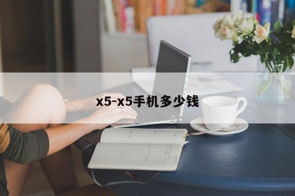 x5-x5手机多少钱