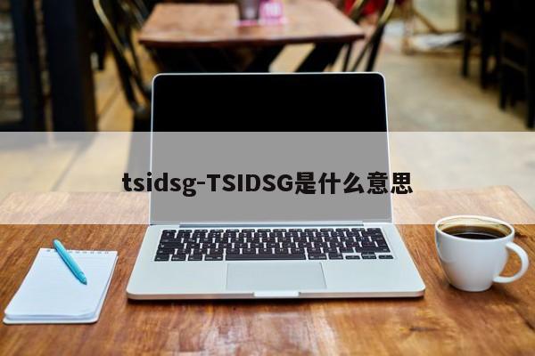 tsidsg-TSIDSG是什么意思